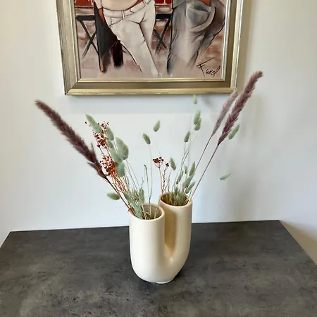 Tres Bel A Ajaccio (Corsica)