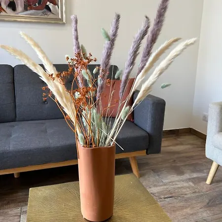 Appartement Très Bel à Ajaccio (Corsica)