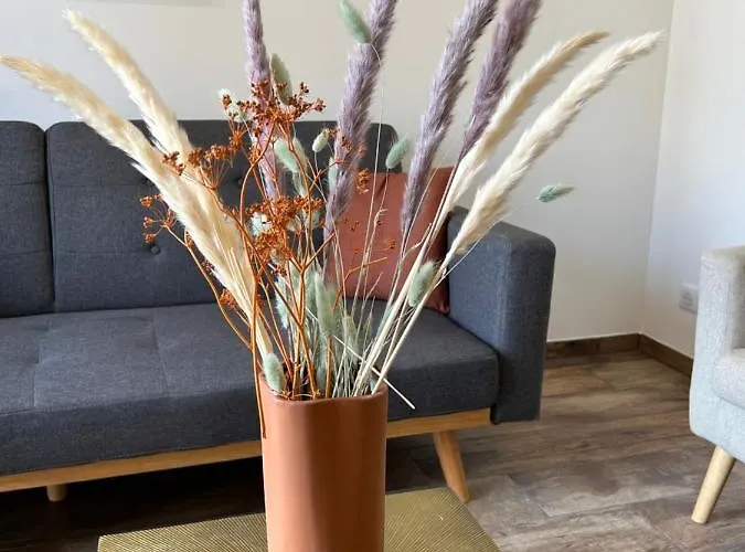 Appartement Tres Bel A Ajaccio (Corsica)